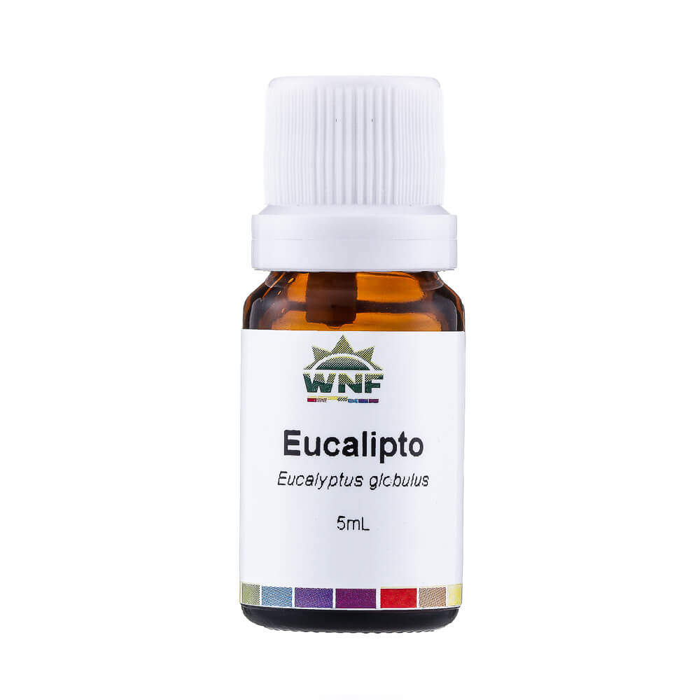 óleo Essencial De Eucalipto Globulus Oleo-Essencial-Natural-de-Eucalipto-Globulus5ml-–-WNF