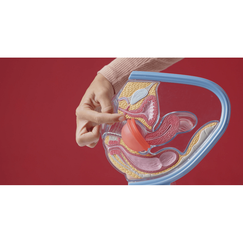 O Que é Disco Menstrual Disco Menstrual Yuper Tamanho Único da Yuper - useorganico